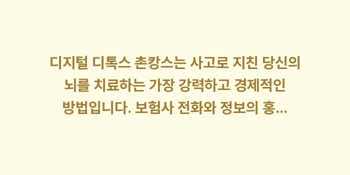 디지털 디톡스 촌캉스: 디지털 디톡스 촌캉스는 사고... (2)