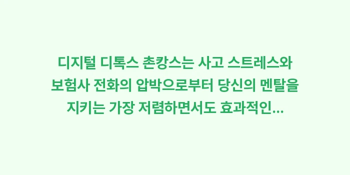 디지털 디톡스 촌캉스: 디지털 디톡스 촌캉스는 사고... (2)