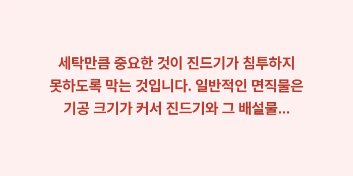 집먼지 진드기: 세탁만큼 중요한 것이 진드기... (1)