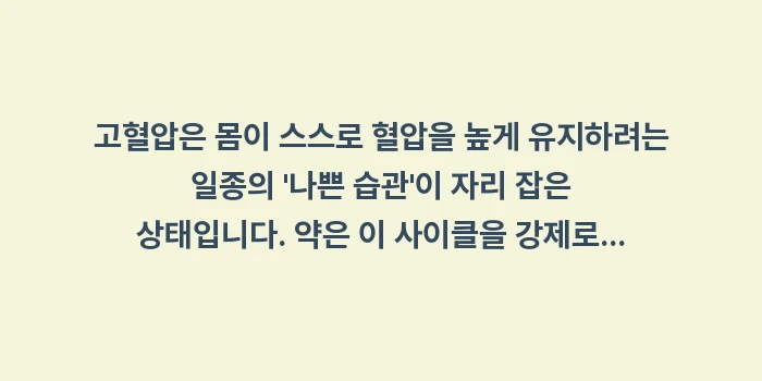 고혈압 약 복용 오해: 고혈압은 몸이 스스로 혈압을... (1)