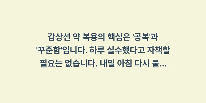 씬지로이드 복용시간: 갑상선 약 복용의 핵심은... (1)