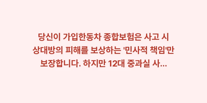 법률비용지원금 특약: 당신이 가입한동차 종합보험은... (1)