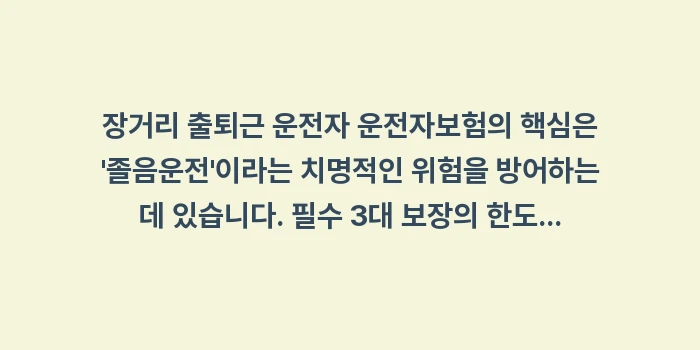 장거리 출퇴근 운전자 운전자보험: 장거리 출퇴근 운전자 운전자... (1)
