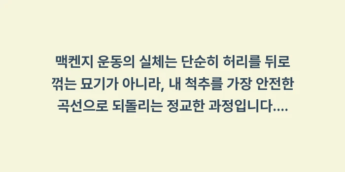 맥켄지 운동 주의사항: 맥켄지 운동의 실체는 단순히... (2)