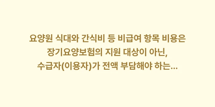 요양원 식대와 간식비 등 비급여 항목 비용: 요양원 식대와 간식비 등 비... (1)