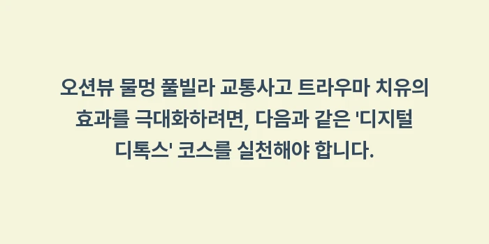 오션뷰 물멍 풀빌라 교통사고 트라우마: 오션뷰 물멍 풀빌라 교통사고... (1)