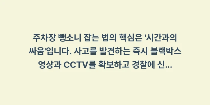 주차장 뺑소니 잡는 법: 주차장 뺑소니 잡는 법의 핵... (1)