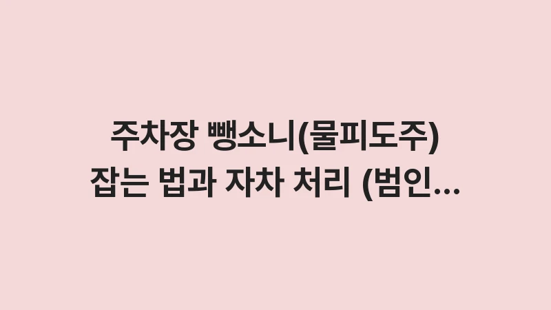 parking hit and run catching guide