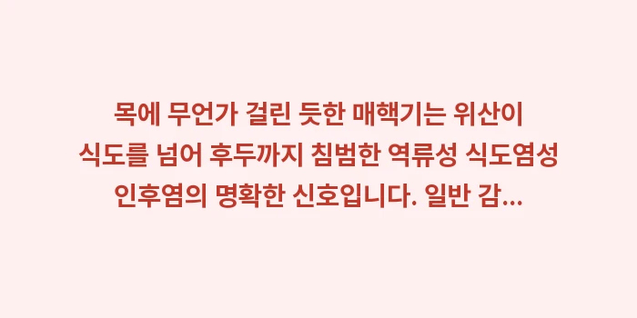 매핵기 역류성 식도염: 목에 무언가 걸린 듯한 매핵... (1)