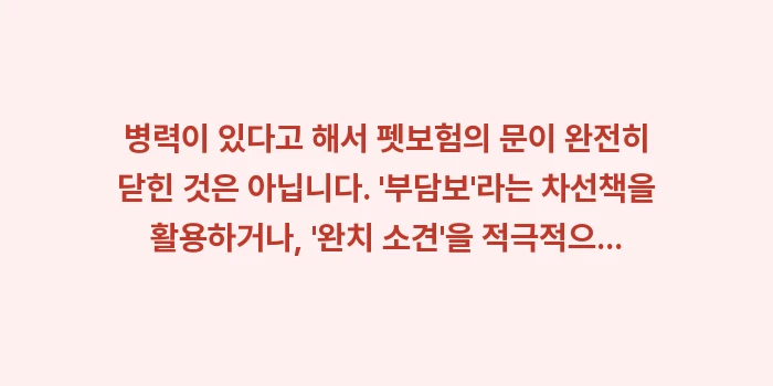 유병자 펫보험: 병력이 있다고 해서 펫보험의... (1)