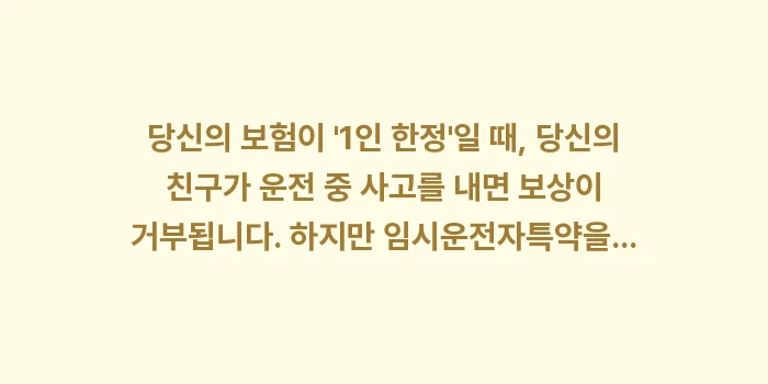 임시운전자특약: 당신의 보험이 1인 한정... (1)