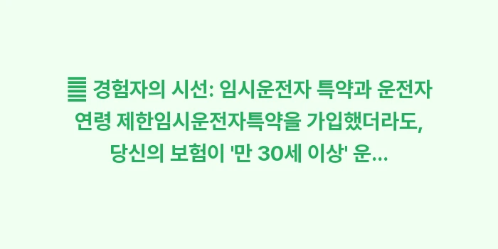 임시운전자특약: 🧐 경험자의 시선: 임시운전... (2)