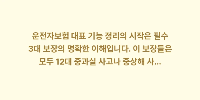 운전자보험 대표 기능 정리: 운전자보험 대표 기능 정리의... (1)