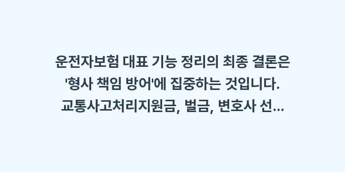 운전자보험 대표 기능 정리: 운전자보험 대표 기능 정리의... (2)