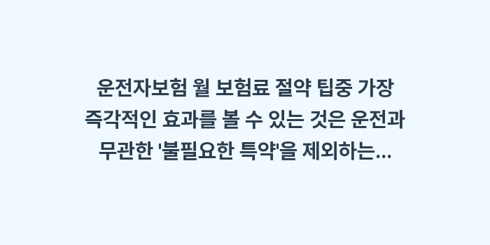 운전자보험 월 보험료 절약 팁: 운전자보험 월 보험료 절약... (1)