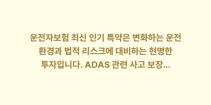 운전자보험 최신 인기 특약: 운전자보험 최신 인기 특약은... (1)