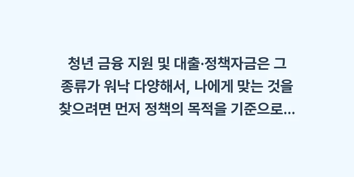 청년 금융 지원 및 대출·정책자금: 청년 금융 지원 및 대출·정... (1)