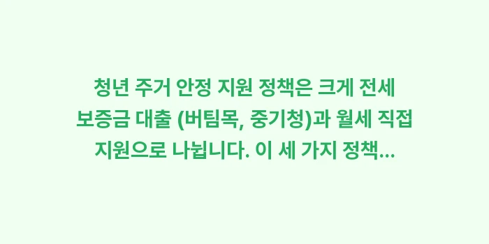 청년 전월세 보증금 대출과 주거 안정 지원 정책: 청년 주거 안정 지원 정책은... (1)