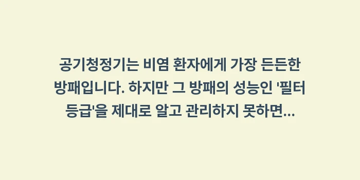공기청정기 필터 등급별 비염 완화 효과: 공기청정기는 비염 환자에게... (2)