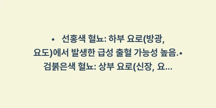 방광염 혈뇨: • 선홍색 혈뇨: 하부... (1)