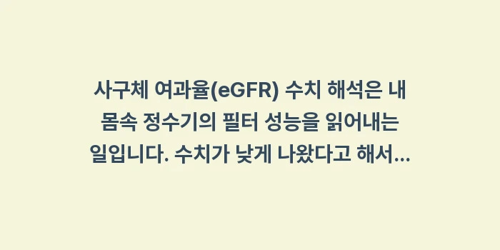 사구체 여과율 수치: 사구체 여과율(eGFR) 수... (1)