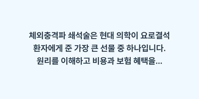 체외충격파 쇄석술 원리와 비용: 체외충격파 쇄석술은 현대 의... (2)