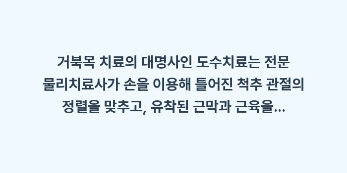 거북목 치료법 총정리: 거북목 치료의 대명사인 도수... (1)