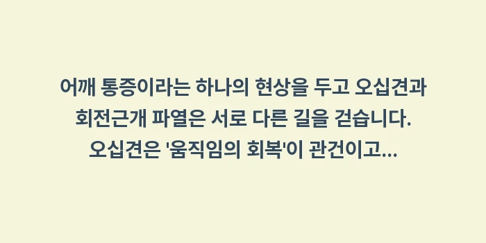 오십견 회전근개 파열 비교: 어깨 통증이라는 하나의 현상... (2)