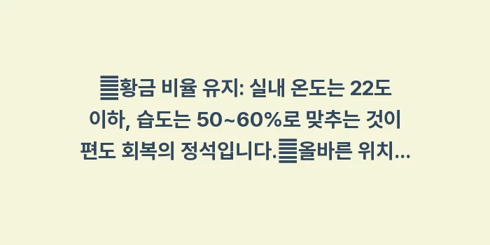 가습기 사용법: ✔황금 비율 유지: 실내 온... (1)
