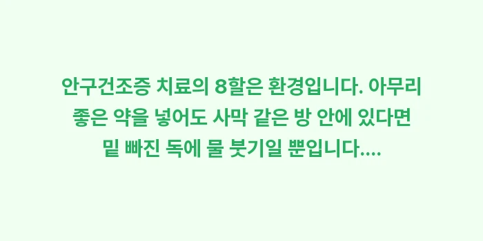 안구건조증 가습기 습도: 안구건조증 치료의 8할은 환... (2)