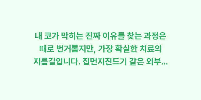 알레르기 및 만성 비염 원인 분석: 내 코가 막히는 진짜 이유를... (2)