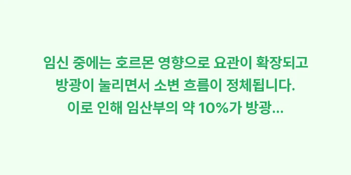 남성 및 임산부 방광염: 임신 중에는 호르몬 영향으로... (1)
